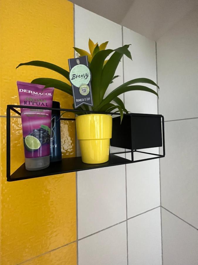 Monstera I Apartment Kolín